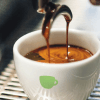 Green Cup Coffee - Kaffee-Abo Logo