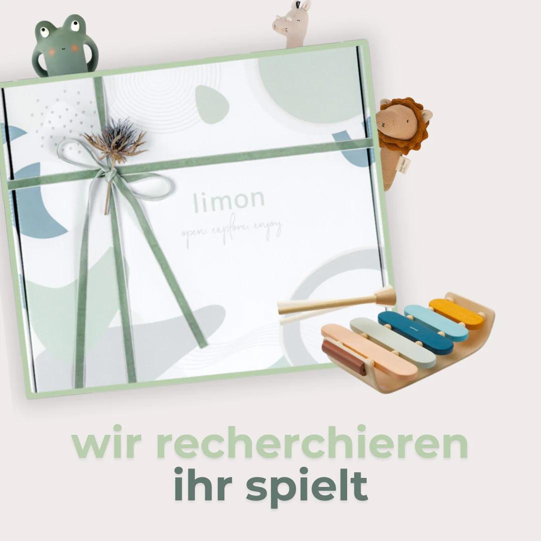 Limon Box Classic - Entwicklungsfördernde Spielzeugsets Logo