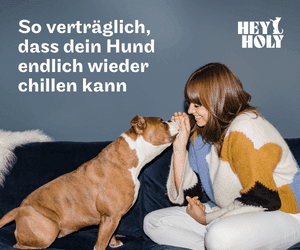 HEY HOLY - Premium Hundefutter Logo