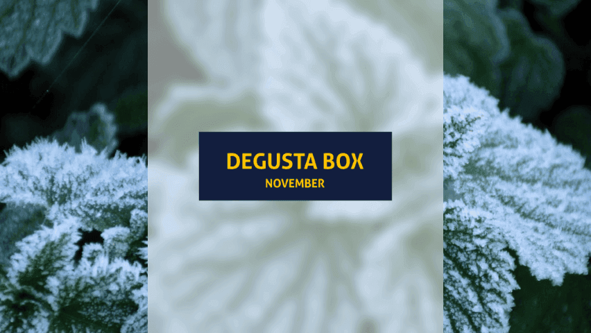Titelbild für den Artikel: Degusta Box: Testbericht der Novemberbox