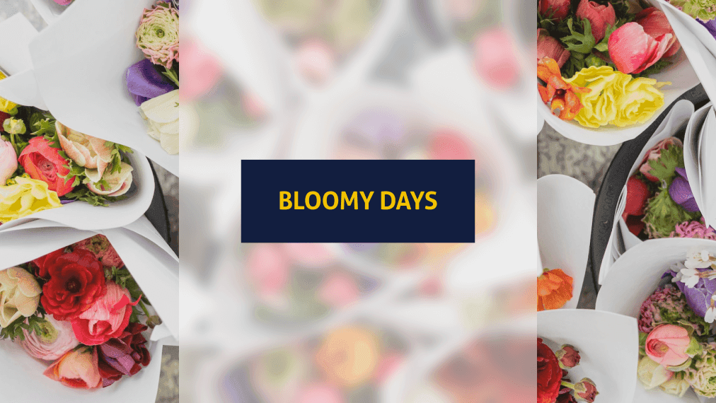 Titelbild für den Artikel: Bloomy Days im Test: Lohnt sich die Blumenbox?